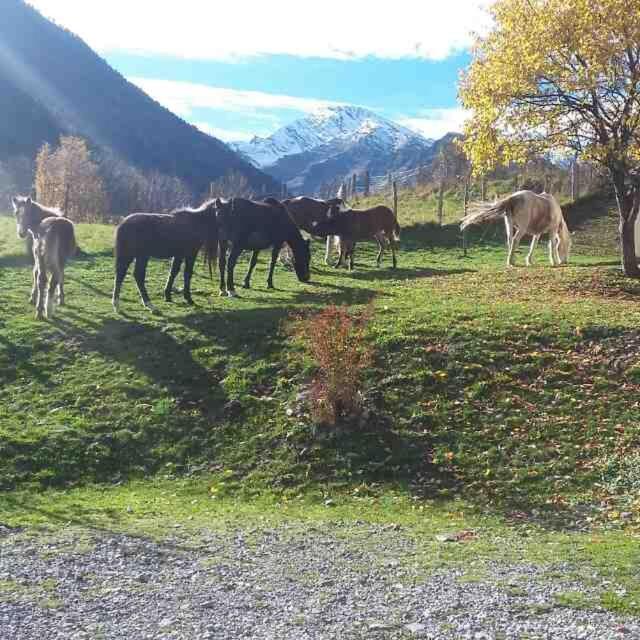 Les Chalets D'Aure. Aragnouet Dış mekan fotoğraf